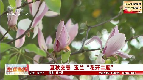 武進新聞