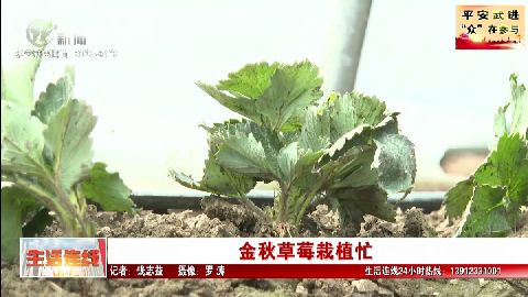 武進(jìn)新聞