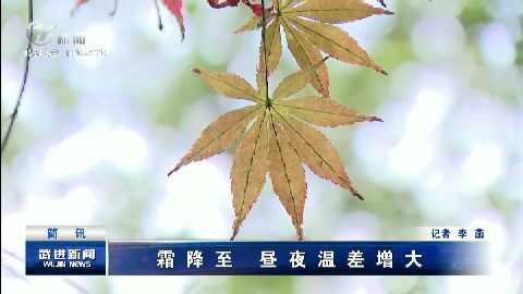 武進新聞